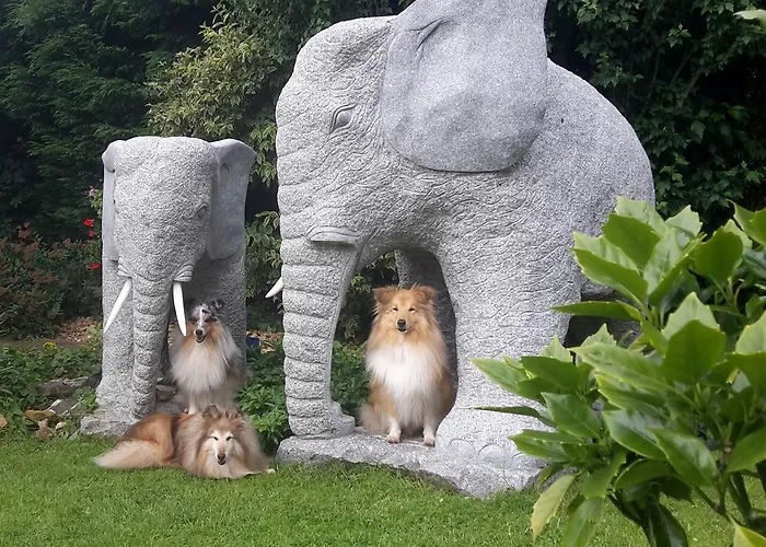 De Hendrikhove Apartamento *