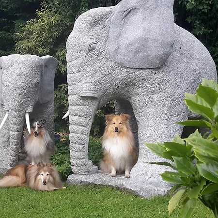 De Hendrikhove Apartmán *